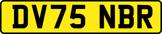 DV75NBR