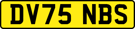 DV75NBS