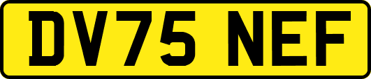 DV75NEF