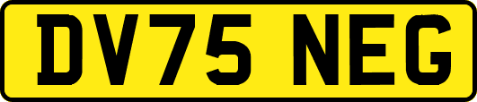 DV75NEG