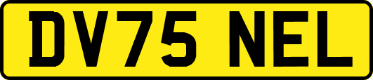 DV75NEL