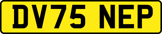 DV75NEP