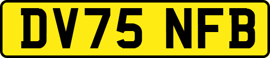 DV75NFB