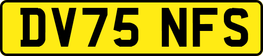 DV75NFS