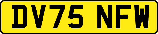 DV75NFW