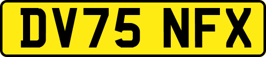 DV75NFX