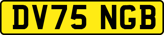 DV75NGB
