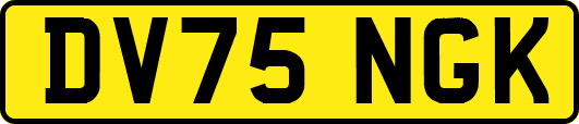 DV75NGK