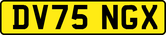 DV75NGX