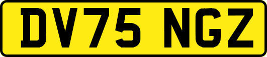 DV75NGZ