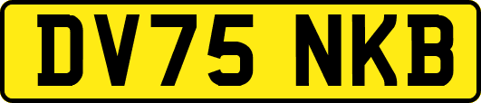 DV75NKB