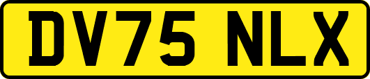 DV75NLX