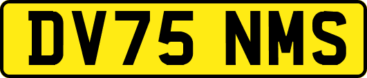 DV75NMS