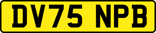 DV75NPB