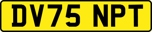 DV75NPT