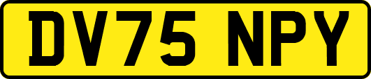 DV75NPY