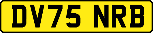 DV75NRB