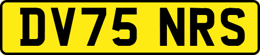 DV75NRS