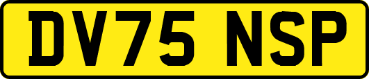 DV75NSP