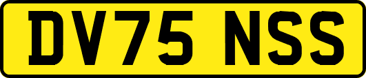 DV75NSS