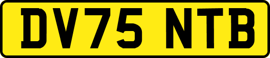 DV75NTB