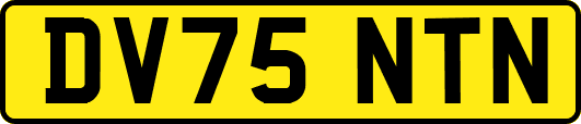 DV75NTN