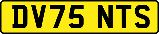 DV75NTS