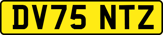 DV75NTZ