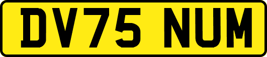 DV75NUM