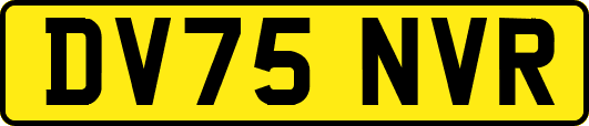 DV75NVR