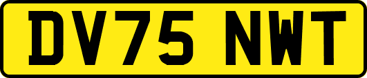 DV75NWT