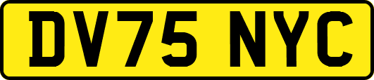 DV75NYC