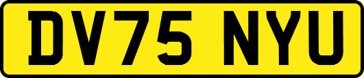 DV75NYU