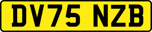 DV75NZB