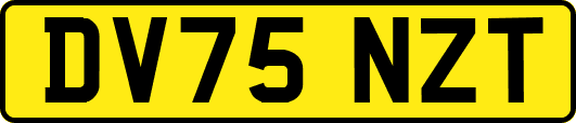 DV75NZT