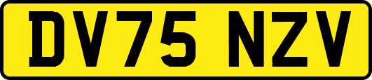 DV75NZV