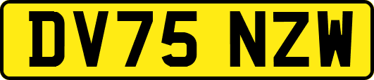 DV75NZW
