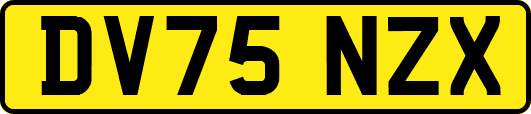 DV75NZX