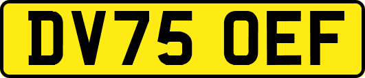 DV75OEF