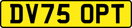 DV75OPT