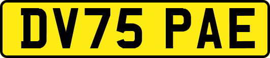 DV75PAE