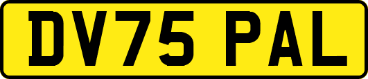 DV75PAL