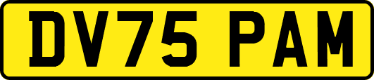 DV75PAM