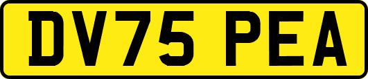 DV75PEA