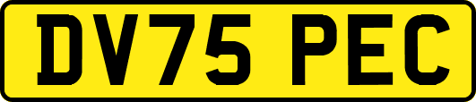 DV75PEC
