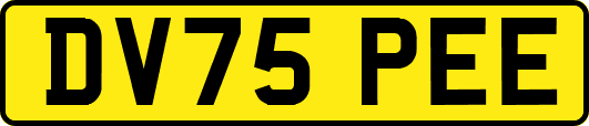 DV75PEE