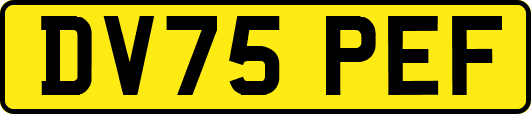 DV75PEF