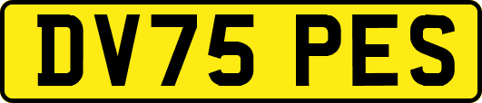 DV75PES