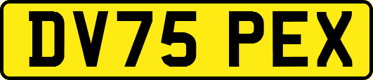 DV75PEX