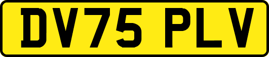 DV75PLV